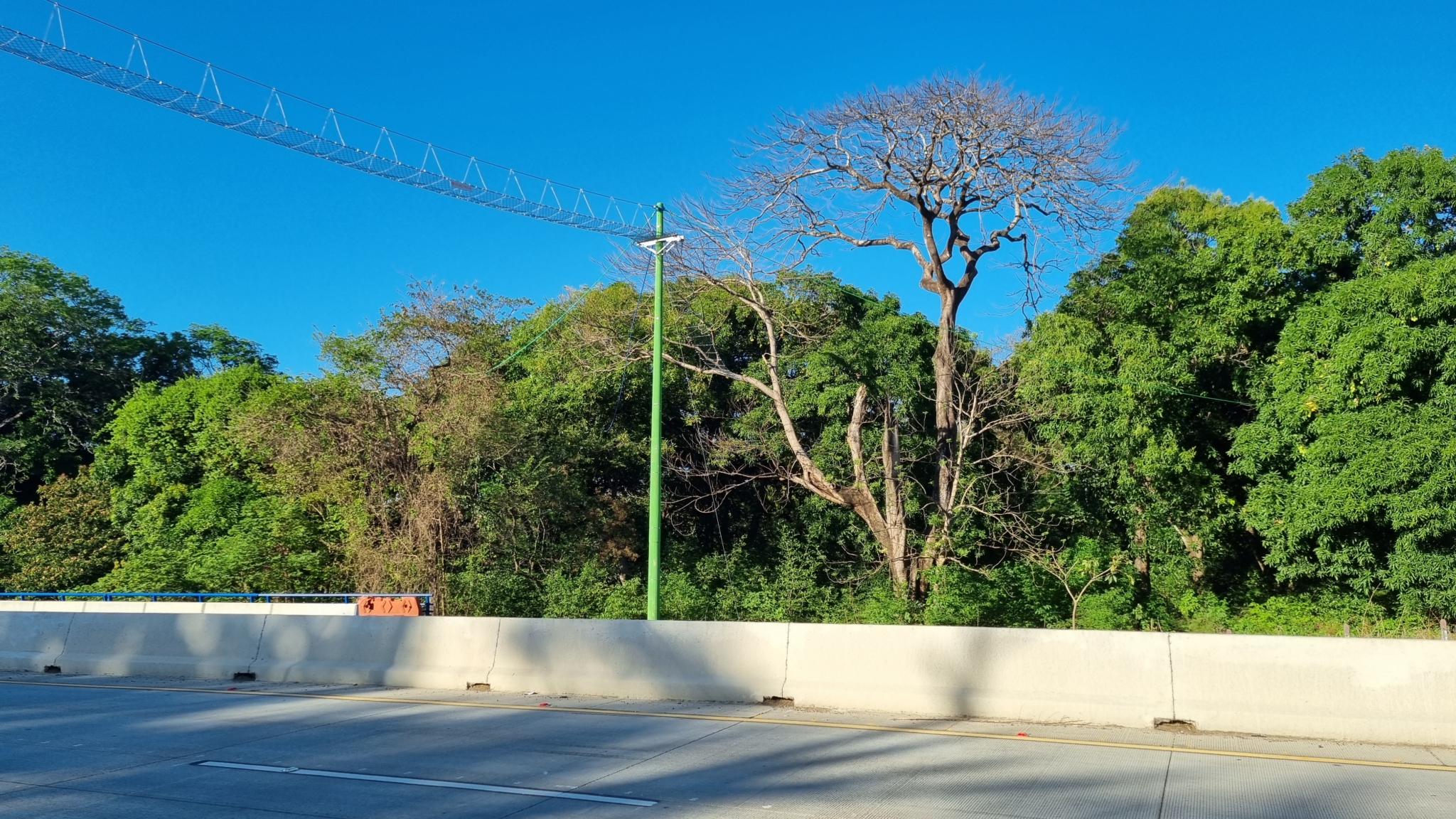 Preservando la Vida Silvestre El Papel Crucial de los Pasos de Fauna en las Carreteras Seléctrica Preservando la Vida Silvestre El Papel Crucial de los Pasos de Fauna en las Carreteras Seléctrica