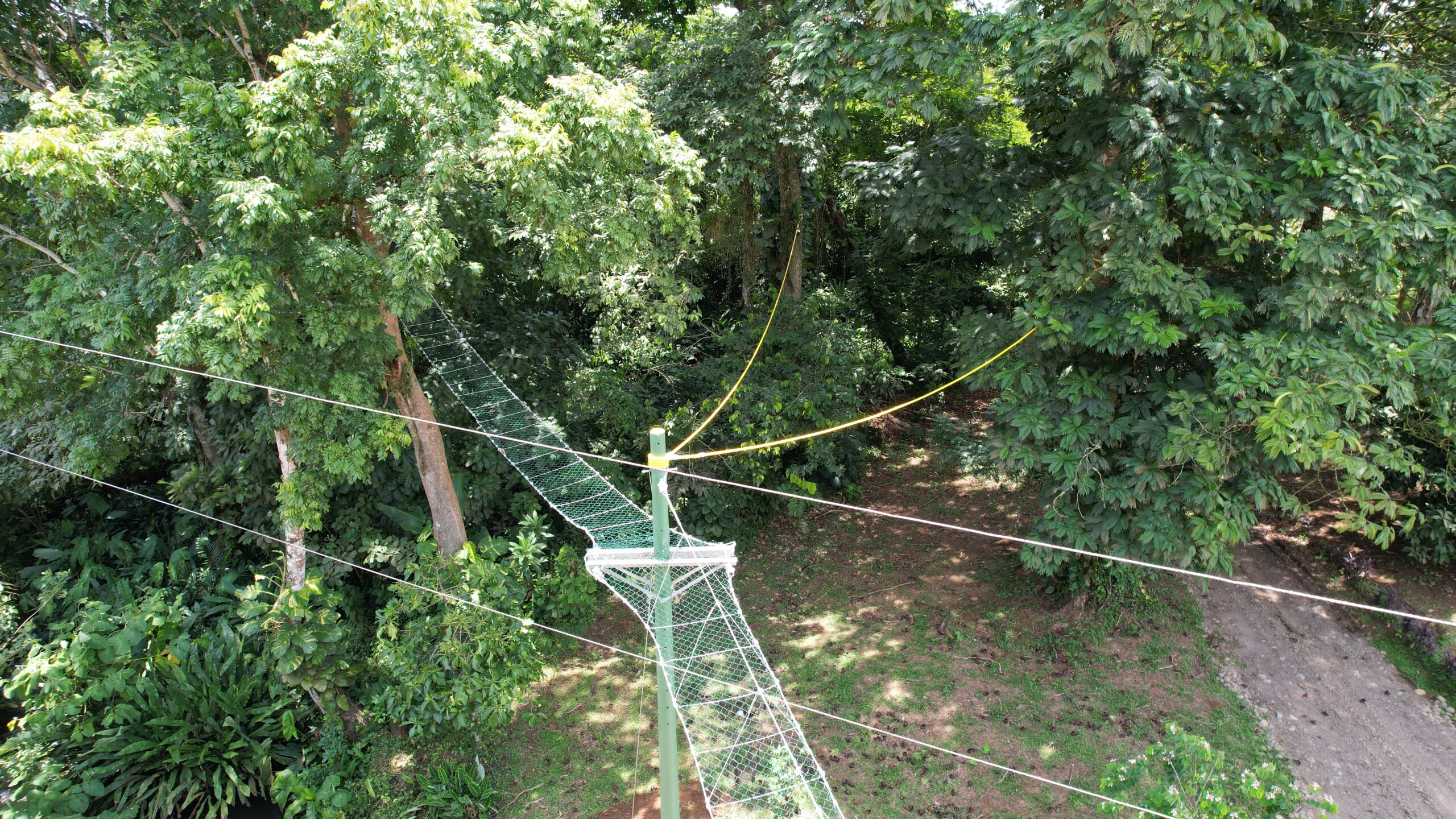 Pasos de fauna